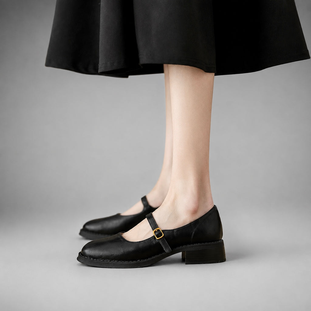 Women's Audrey Mary Jane Low Block Heel Shoes